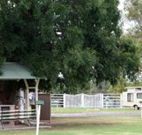 Warialda Caravan Park - Lismore Accommodation