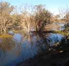 Warrawong on the Darling - Lismore Accommodation