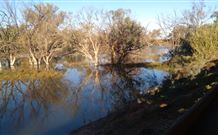 Warrawong On The Darling - Lismore Accommodation 0