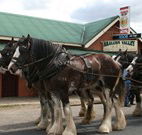 Araluen Valley Hotel - Araluen - Lismore Accommodation