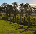 H Boutique Hotel - Pokolbin - Lismore Accommodation