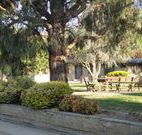 Hamilton Hume Motor Inn - Yass - Lismore Accommodation