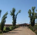 Newell Motor Inn - Narrandera - Lismore Accommodation