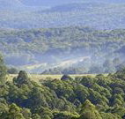 Nowendoc Country Motel - Nowendoc - Lismore Accommodation