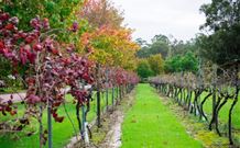 Peppers Convent Hunter Valley - Pokolbin - Lismore Accommodation 4