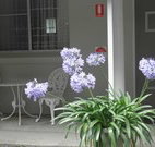 Pine Lodge Motel - Woolgoolga - Lismore Accommodation