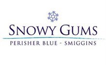 Snowy Gums Chalet - Smiggin Holes - Lismore Accommodation 2