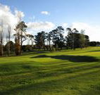 Tenterfield Golf Club and Fairways Lodge - Tenterfield - Lismore Accommodation