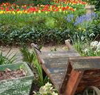 The Carrington Inn - Lismore Accommodation