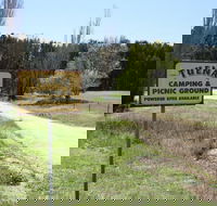 Tuena Camping and Picnic Ground - Lismore Accommodation