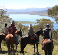 Reynella Homestead and Horseback Rides - Lismore Accommodation