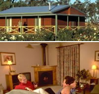 Twin Trees Country Cottages - Lismore Accommodation