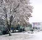 Maneroo Motel - Lismore Accommodation
