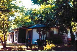 Forest Lodge - Lismore Accommodation 0
