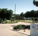 Shoreline Caravan Park - Lismore Accommodation