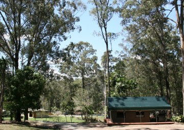 Tamborine Mountain Caravan & Camping - Lismore Accommodation 4