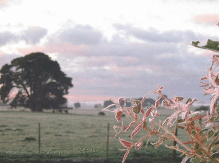 Lemon Gum B And B - Lismore Accommodation 1