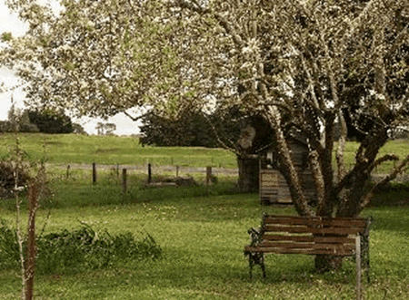 Lemon Gum B And B - Lismore Accommodation 2