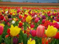 Golfview Lodge - Lismore Accommodation 0