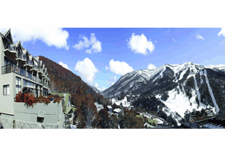 The Lantern Apartments - Lismore Accommodation