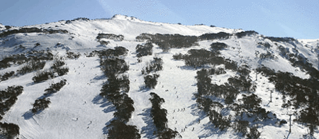 Thredbo Alpine Hotel - Lismore Accommodation