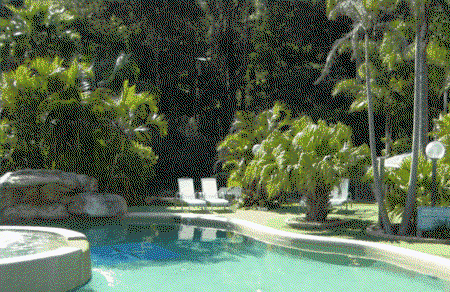 The Palms At Avoca - Lismore Accommodation 3