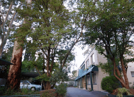 Adelaide Oakford Apartments - Lismore Accommodation