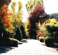 Goldfields Holiday Units - Lismore Accommodation