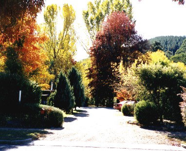 Goldfields Holiday Units - Lismore Accommodation 0