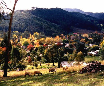 Goldfields Holiday Units - Lismore Accommodation 1