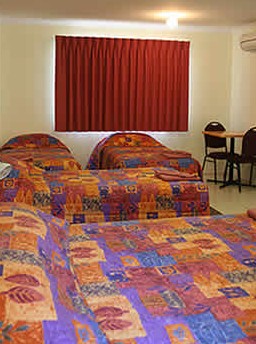 White Gums Motor Inn - Lismore Accommodation 0