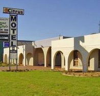 Citrus Motel - Lismore Accommodation