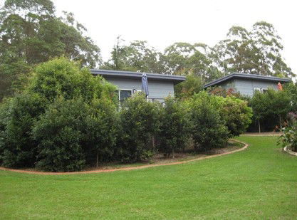 Mapleton Cabins And Caravan Park - Lismore Accommodation 3