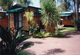 Paradise Park Cabins - Lismore Accommodation 5