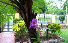 Waterfront Terraces - Lismore Accommodation 1