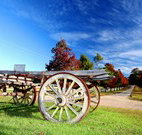 The Oaks Ranch and Country Club - Mossy Point - Lismore Accommodation