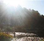 Blair Athol Estate - Lismore Accommodation