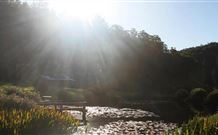 Blair Athol Estate - Lismore Accommodation 0