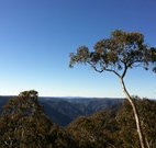 Coach Cottage - Lismore Accommodation