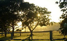 Rocky Mountains - Lismore Accommodation 4