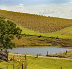 Sanctuary Hill Retreat - Lismore Accommodation