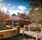 Starline Alpaca Farm Stay - Lismore Accommodation