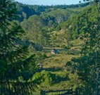 Yarralong BnB and Farm Stay - Lismore Accommodation