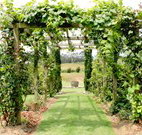 All Saints Bed and Breakfast - Lismore Accommodation