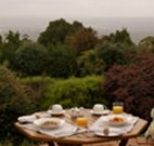 Barefoot Springs Bed and Breakfast - Lismore Accommodation