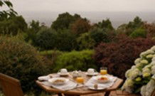 Barefoot Springs Bed And Breakfast - Lismore Accommodation 0