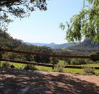 Cedar Grove - - Lismore Accommodation
