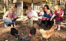 Chiltern Lodge Country Retreat - Lismore Accommodation 1