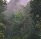 Havans Ecotourist Retreat - - Lismore Accommodation