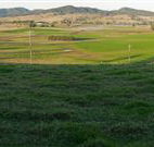 Leconfield House - Lismore Accommodation